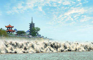 中秋观潮